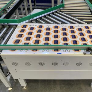 Sorting Conveyor System for Cartons