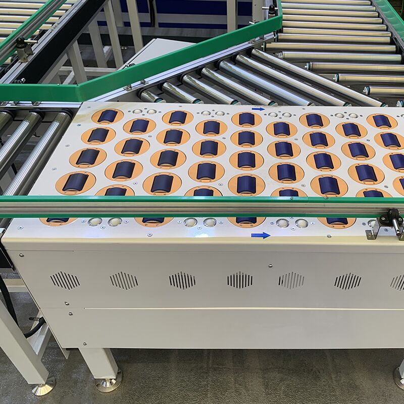 Sorting Conveyor System for Cartons