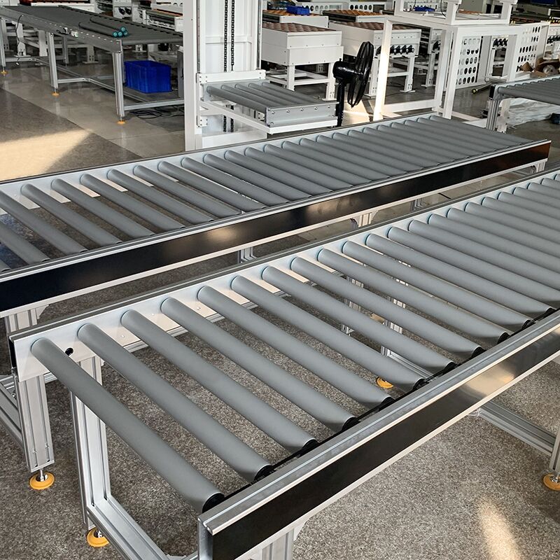 Sorting Conveyor System for Cartons - Image 3