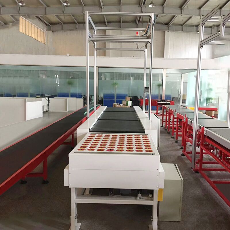 Sorting Conveyor System for Cartons - Image 4