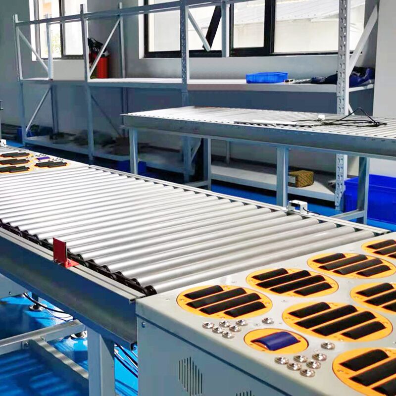 Sorting Conveyor System for cartons